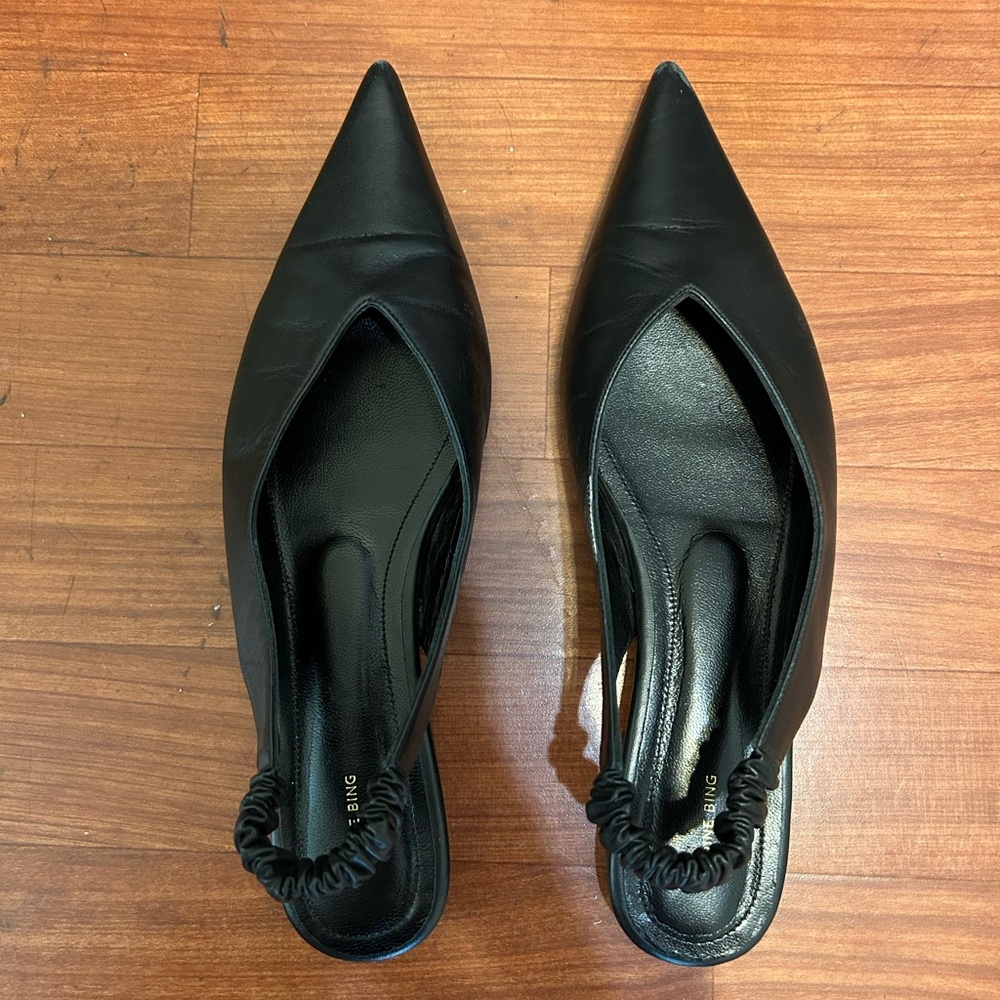 Anine Bing Tara Slingback Pointed flats